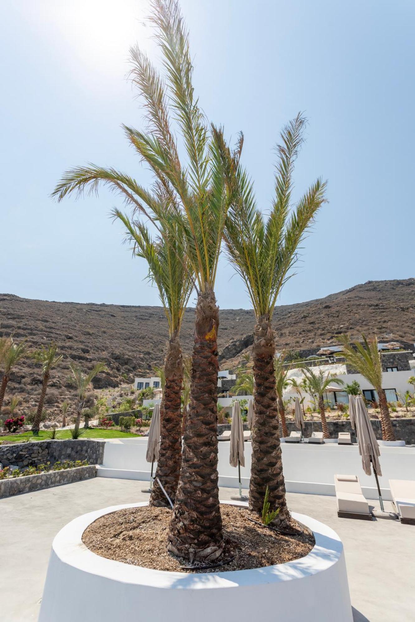Palm Island Suites Imerovigli  Exteriér fotografie